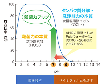 タンパク質分解