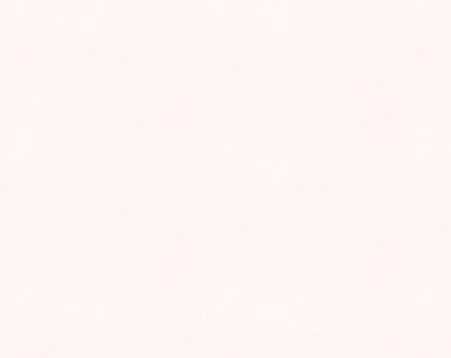 white-bg-2