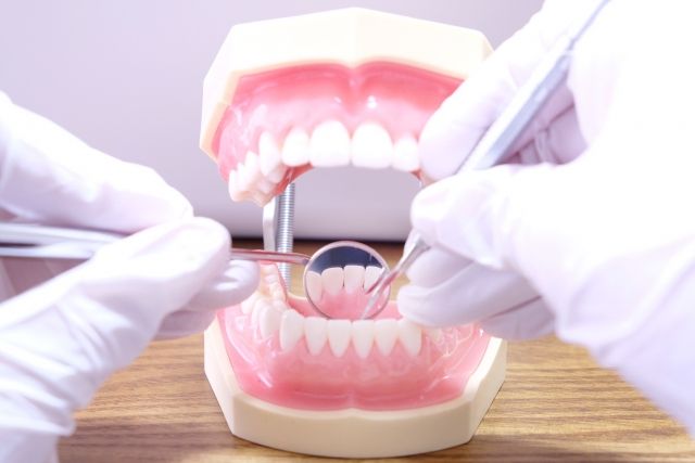 tooth-model-Inspection